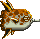 fish03.gif